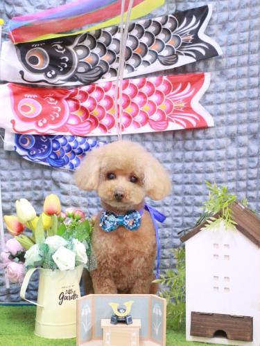 20230503ノアちゃん